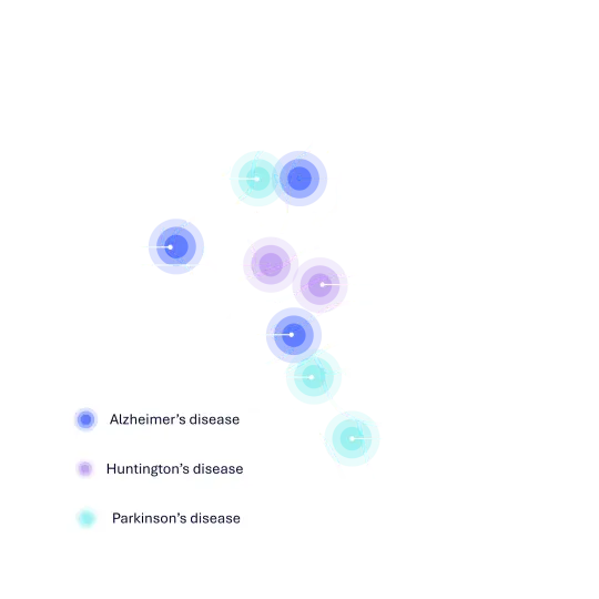Brain Regions Dark Bold